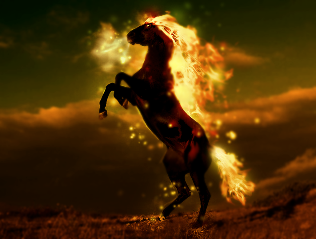 horse on fire by ravr d36x9xc