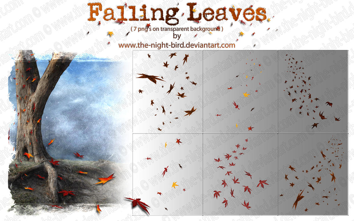 falling_leaves_png__s_by_the_night_bird-d4p1ssh.jpg
