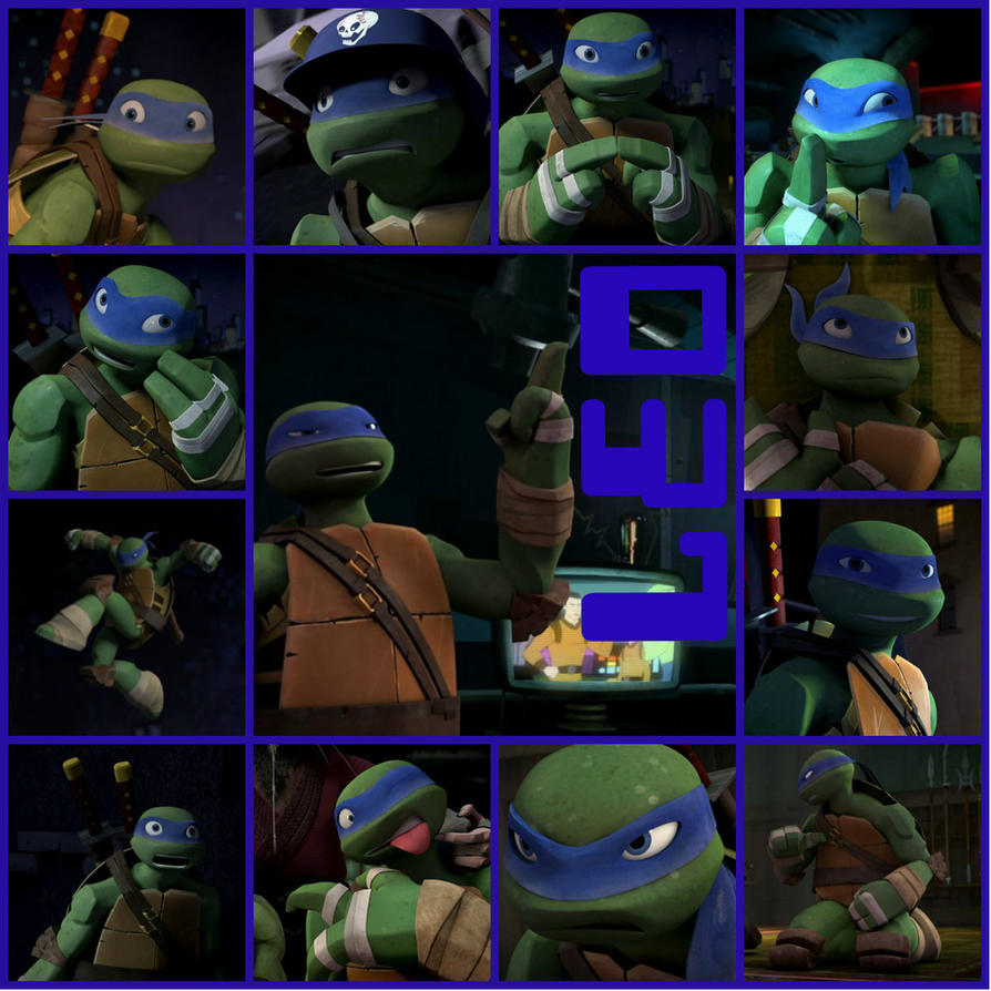 TMNT:: Leo: Collage by Culinary-Alchemist