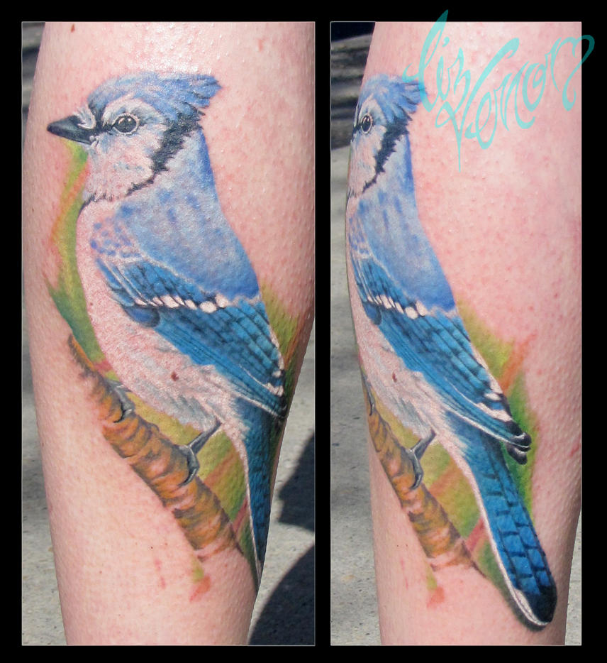 realistic bluejay tattoo by Liz Venom from Bombshell ...