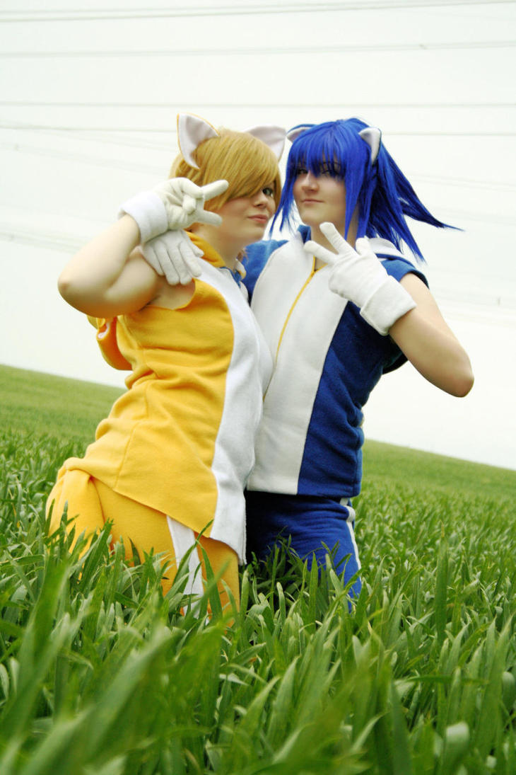 Sonic and Tails: best friends by AgitoAkitoWanijima