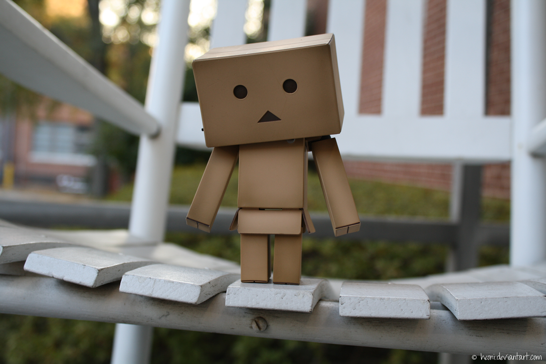 danboard sees new heights by