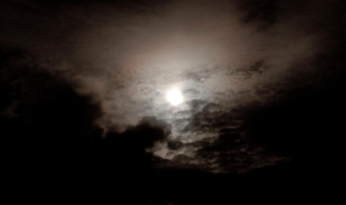 midnight_moon_1_by_sy_accursed-d3uwtrd.jpg