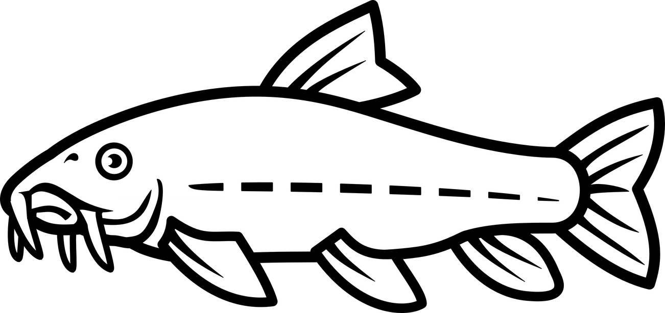 clipart catfish - photo #36