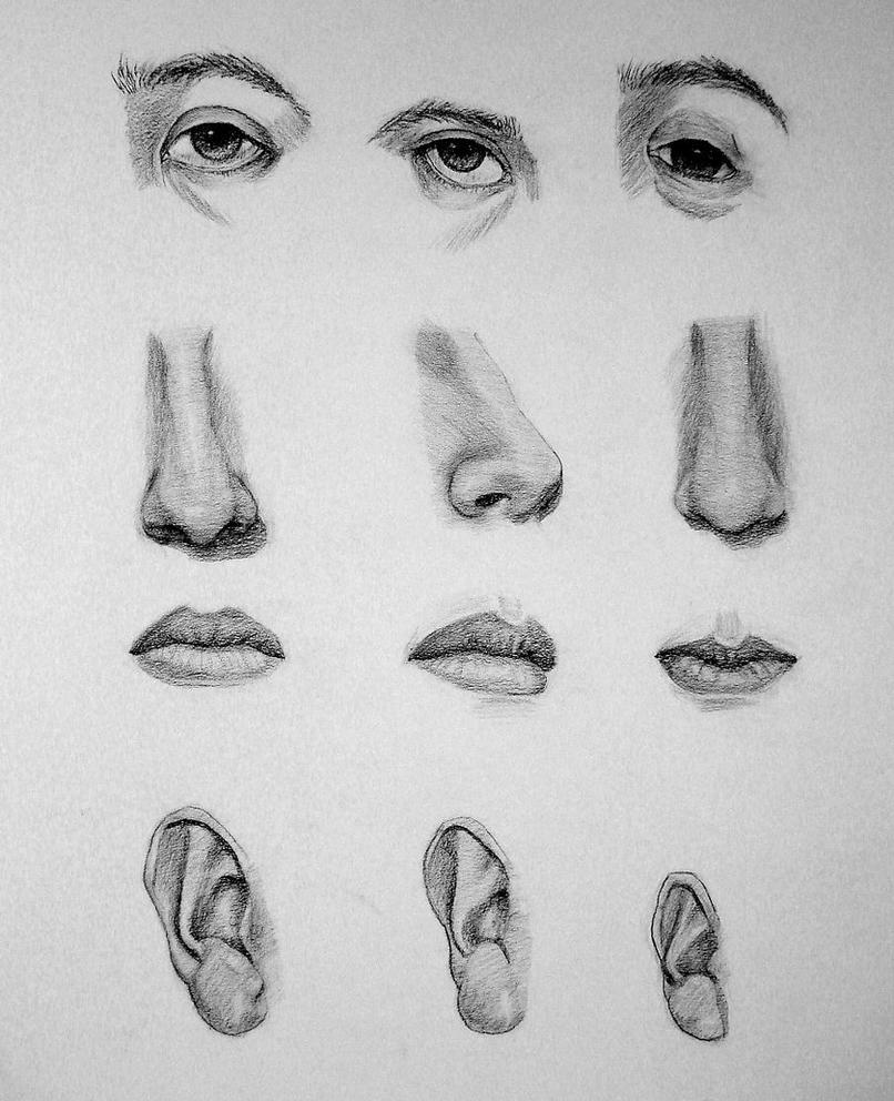 Eyes Nose And Mouth 101