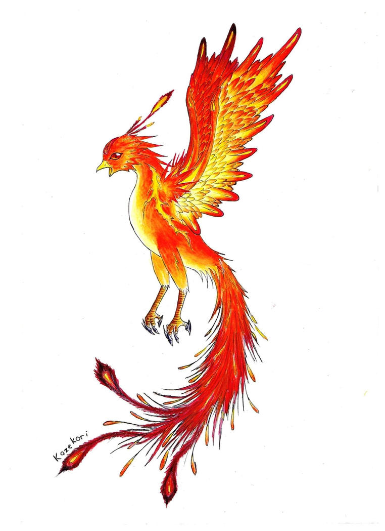 Stuff I Like on Pinterest | Phoenix Tattoos, Phoenix Drawing and Phoenix