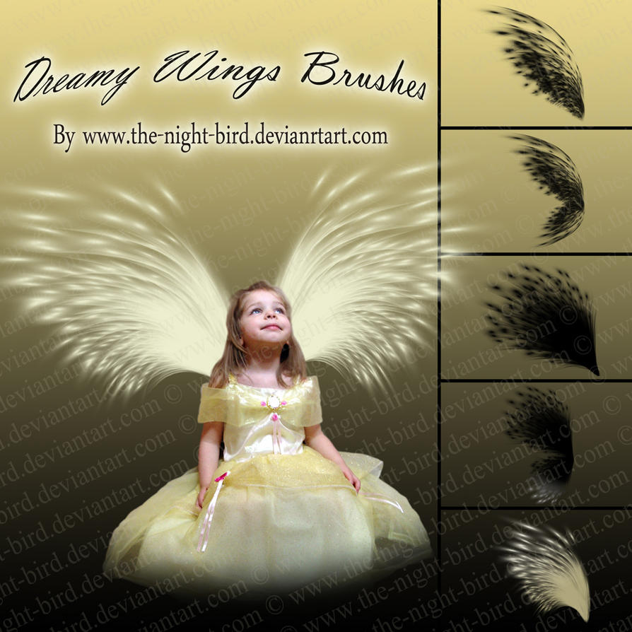 Dreamy Wings Brushes