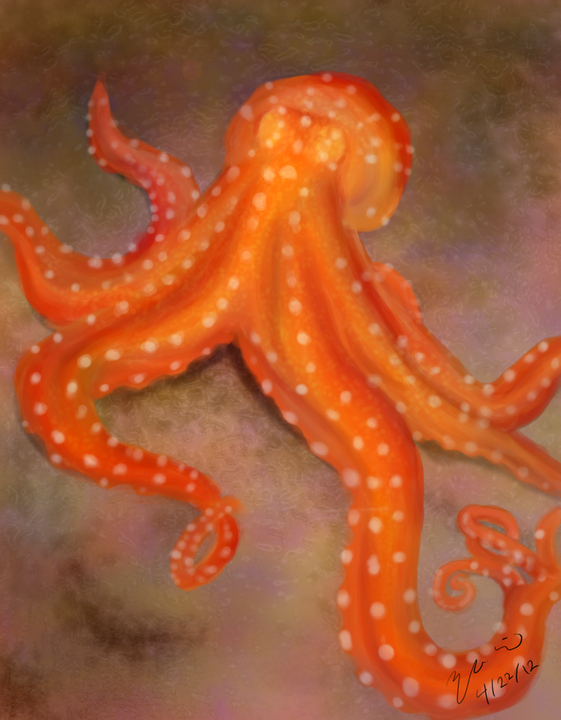 Orange Octopus by BunnyFroofroo on DeviantArt