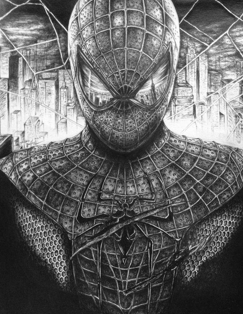 The Amazing Spiderman - Movie Poster Pen Drawing by ...